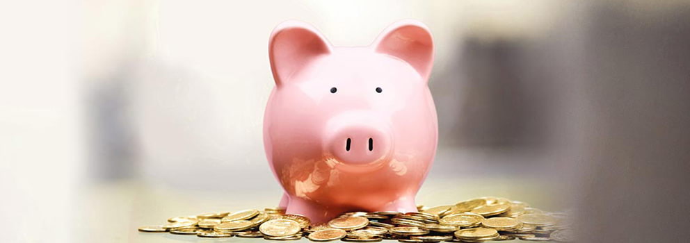Gale Credit Union savings piggy bank 