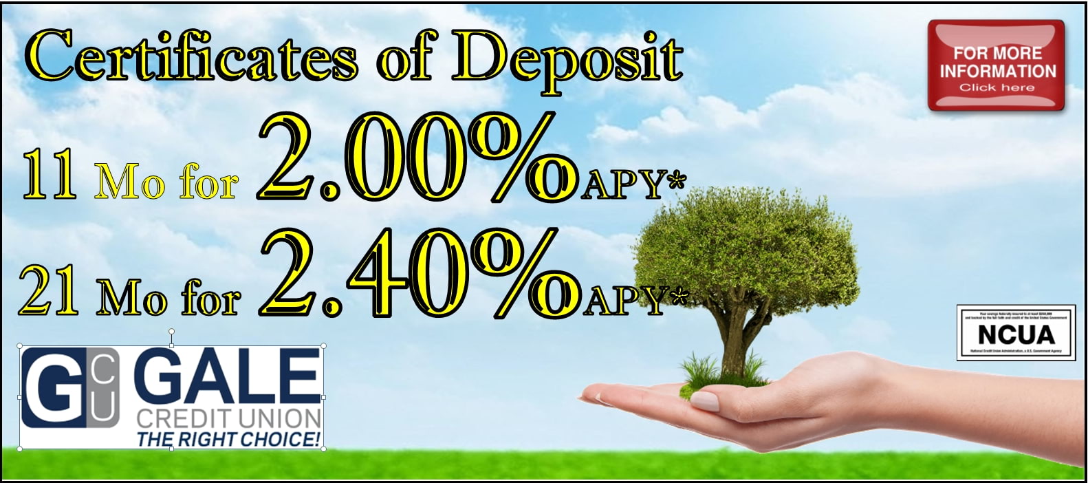 CD Rates
