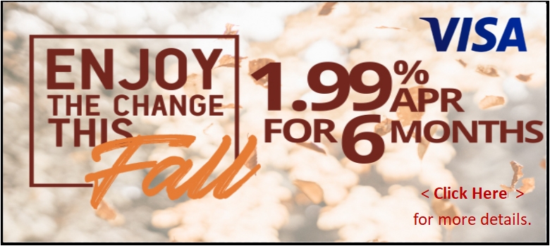 Visa Credit Card Special