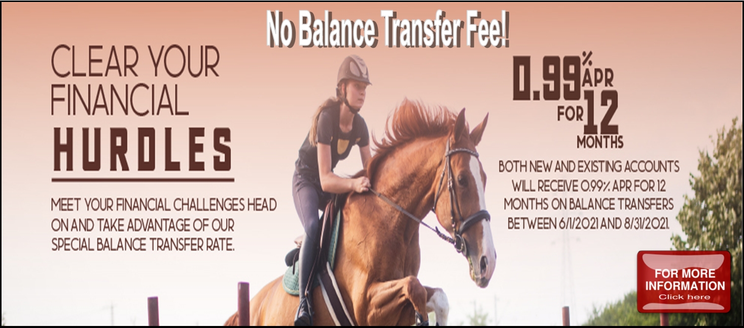 Visa Balance Transfer Promotion